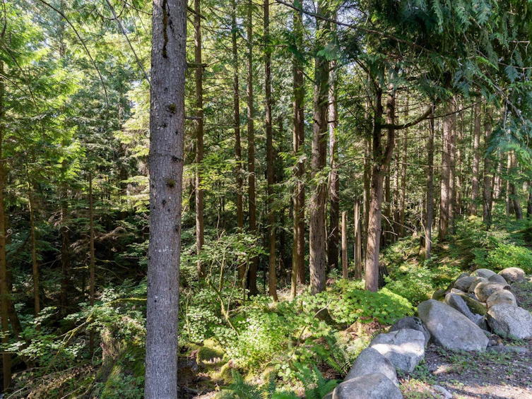 27561 Sayers Crescent, Maple Ridge, BC, V2W 1N3 - 38