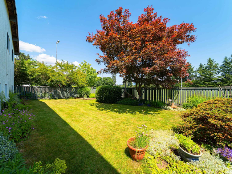 3138 Terra Court, Port Coquitlam, BC, V3B 3H3 - 35