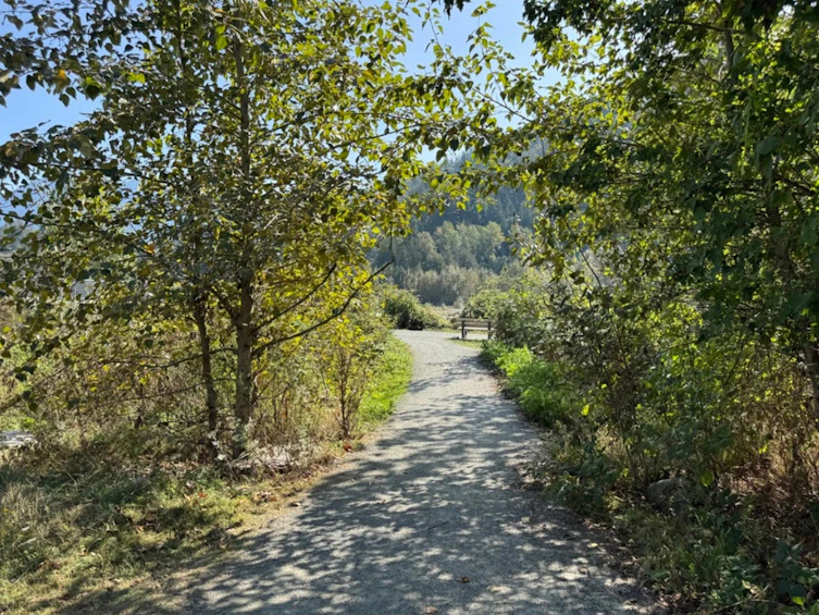 39-44849 Anglers Boulevard, Chilliwack, BC, V2R 0Y4 - 37