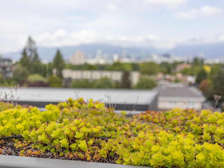 555 W 26th Avenue, Vancouver, BC, V5Z 2E4 - 40