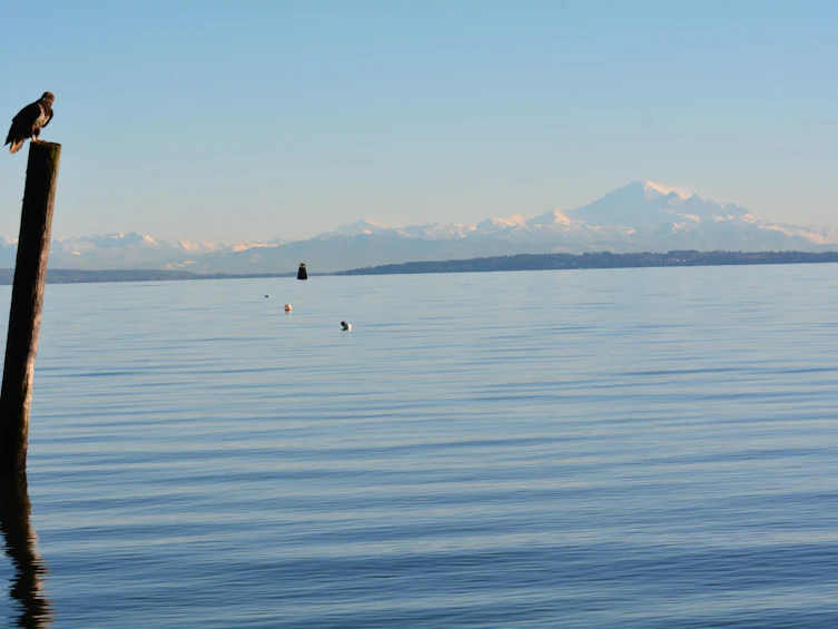 6763 Seaview Road, Delta, BC, V4L 1A2 - 34