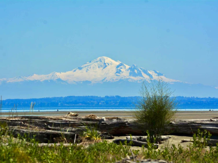 6763 Seaview Road, Delta, BC, V4L 1A2 - 35
