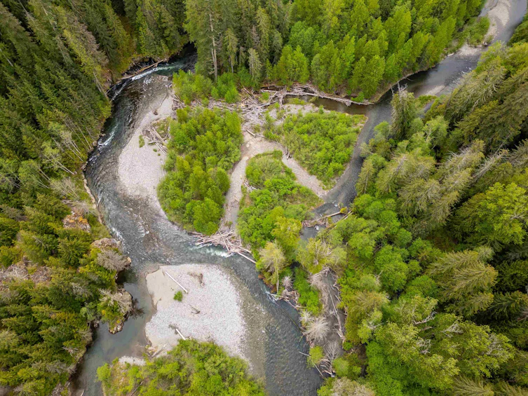 DL 3559 Hwy 99, Whistler, BC - 15