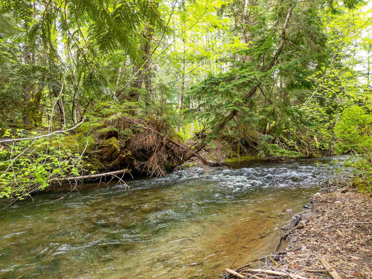 DL 3559 Hwy 99, Whistler, BC - 3