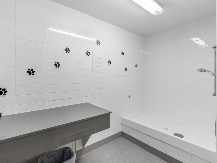 47-8138 204 Street, Langley, BC, V2Y 0T4 - 38