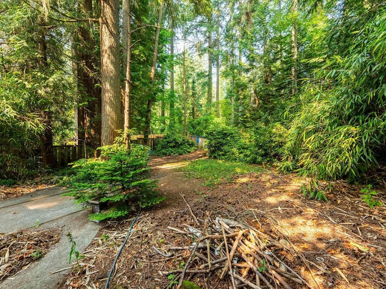 643 Plymouth Drive, North Vancouver, BC, V7H 2H5 - 5