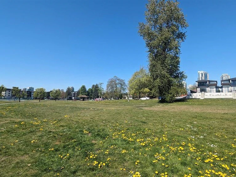 7329 Ethel Avenue, Burnaby, BC, V3N 2C6 - 13
