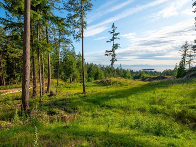 Lot 2 Innisfree Lane - 5