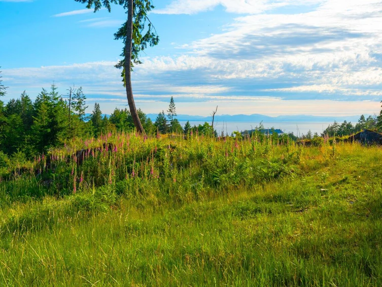 Lot 2 Innisfree Lane, Bowen Island, BC, V0N 1G2 - 6