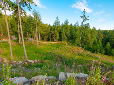 Lot 2 Innisfree Lane - 3