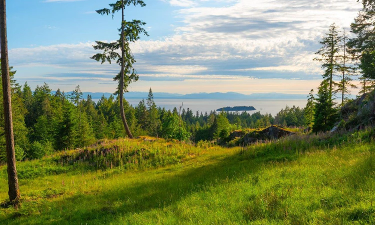 Lot 2 Innisfree Lane
