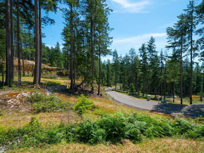 Lot 6 Innisfree Lane - 4