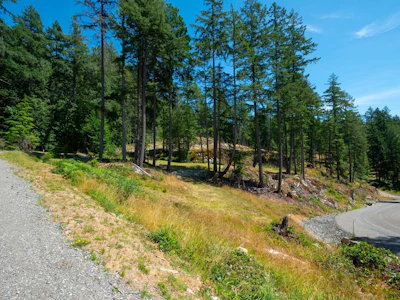 Lot 6 Innisfree Lane - 2