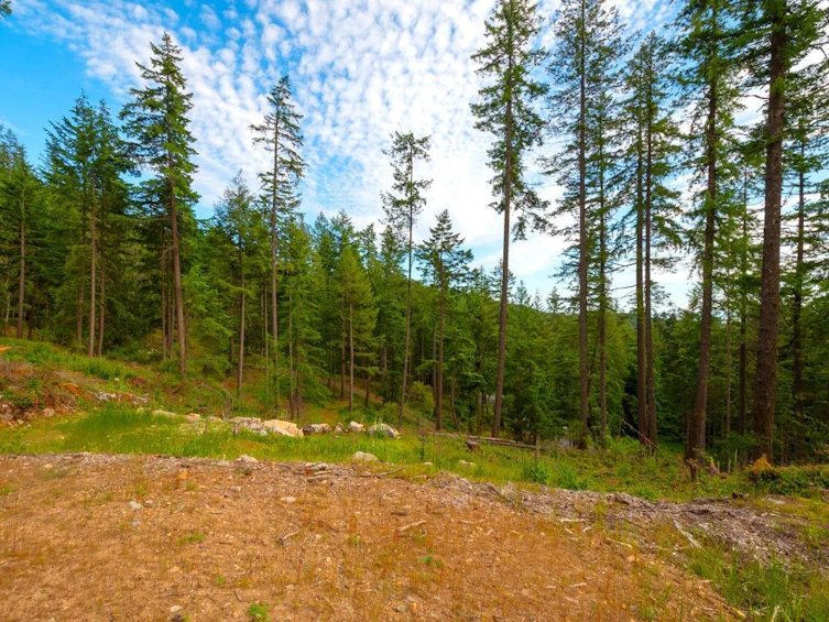 Lot 7 Innisfree Lane, Bowen Island, BC, V0N 1G2 - 10