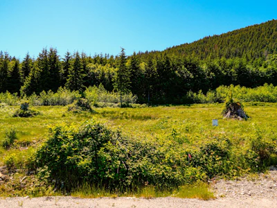 LOT H Panorama Parkway - 4