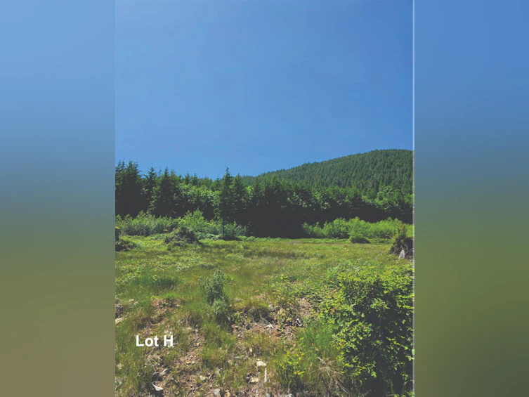 LOT H Panorama Parkway, Gibsons, BC, V0N 1V6 - 3