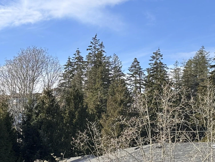 9-5753 Wharf Avenue, Sechelt, BC, V7Z 0H5 - 19