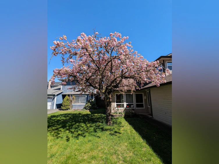 9674 155a Street, Surrey, BC, V3R 7N8 - 29
