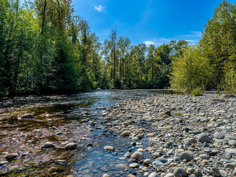2507 Battistoni Place, Port Coquitlam, BC, V3B 5W1 - 37