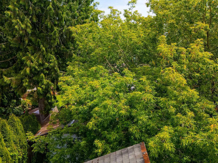 7092 129a Street, Surrey, BC, V3W 6T3 - 13