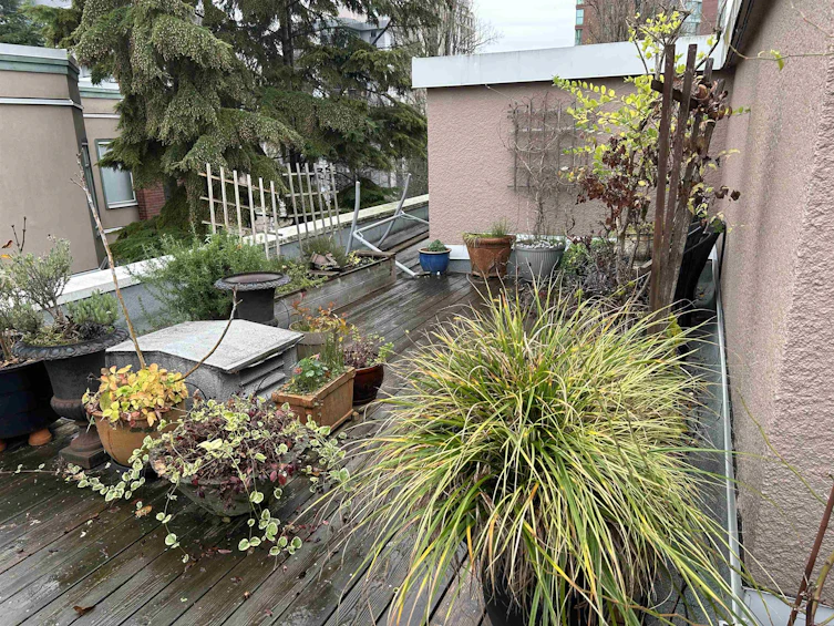 203-1878 Robson Street, Vancouver, BC, V6G 1E3 - 21