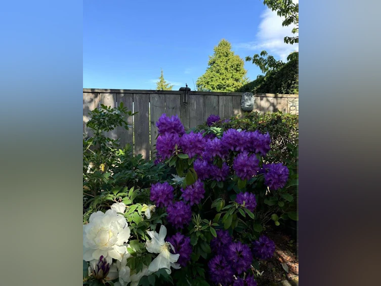 10660 Canso Crescent, Richmond, BC, V7E 5B9 - 30