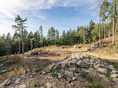 1570 Douglas Road - 5