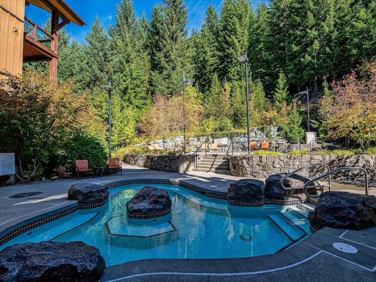 406D-2020 London Lane, Whistler, BC, V0N 1B2 - 28