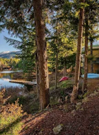Kp2 1400 Alta Lake Road