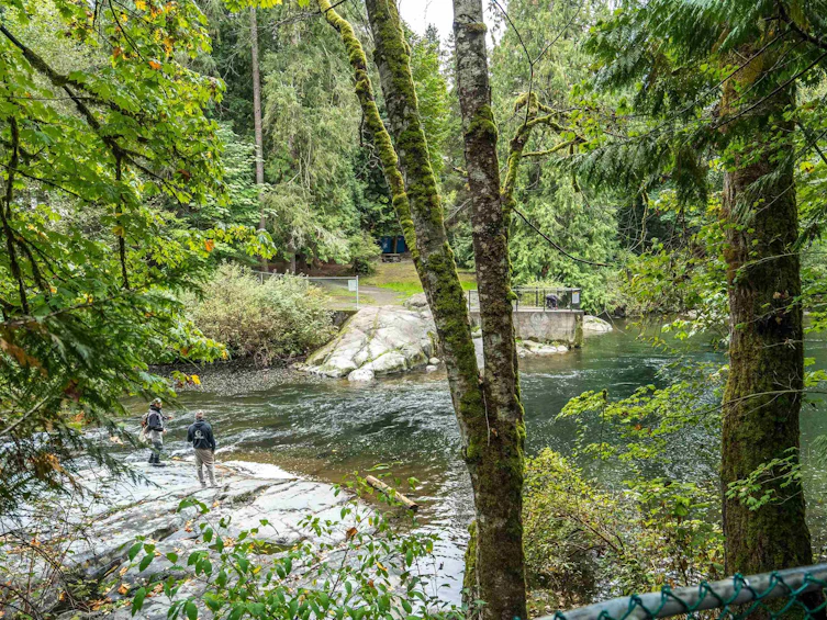 23830 130th Avenue, Maple Ridge, BC, V4R 2S4 - 37