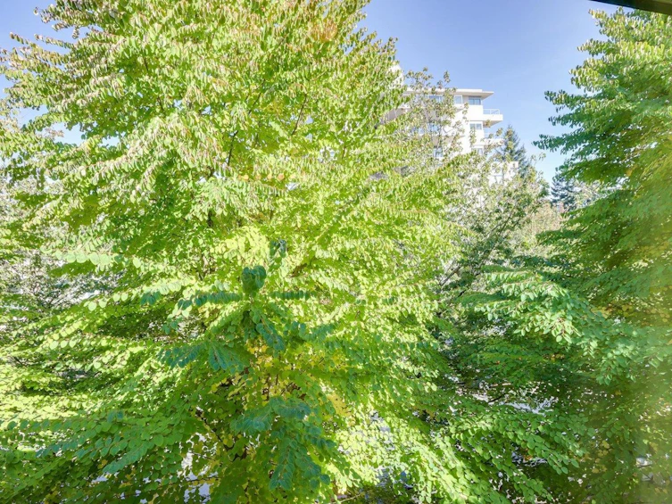 114-9229 University Crescent, Burnaby, BC, V5A 4Z2 - 21
