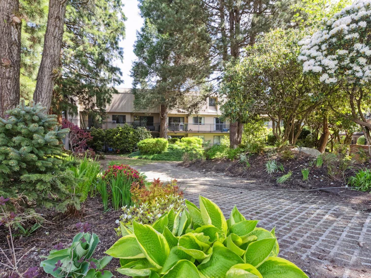 306-1385 Draycott Road, North Vancouver, BC, V7J 3K9 - 23