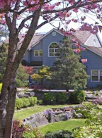 63 Chadwick Road