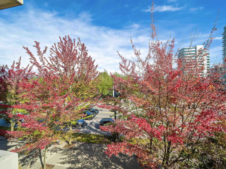 301-1863 Alberni Street, Vancouver, BC, V6G 3H8 - 8