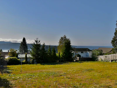 554 Wildwood Crescent - 5