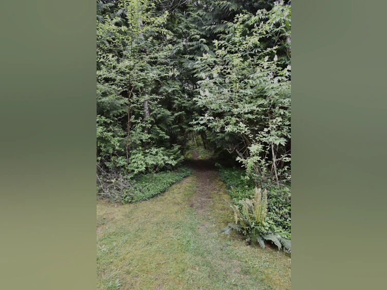 1499 Hanbury Road, Roberts Creek, BC, V0N 2W1 - 38