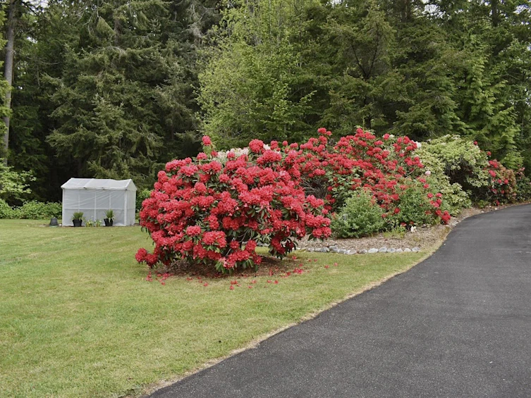 1499 Hanbury Road, Roberts Creek, BC, V0N 2W1 - 5