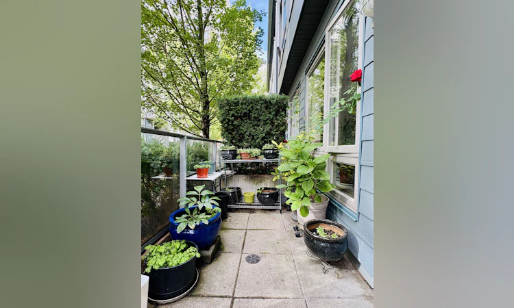 4886 Eldorado Mews