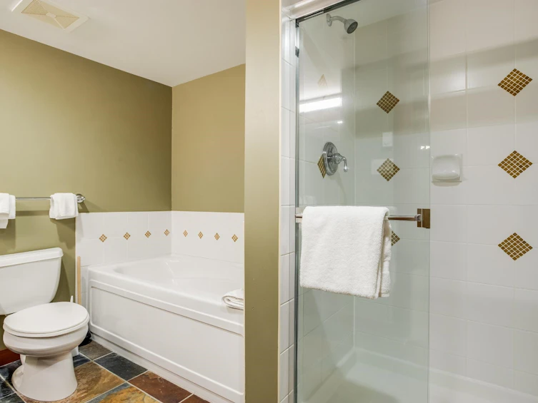 104G2-4653 Blackcomb Way, Whistler, BC, V8E 0Y9 - 19