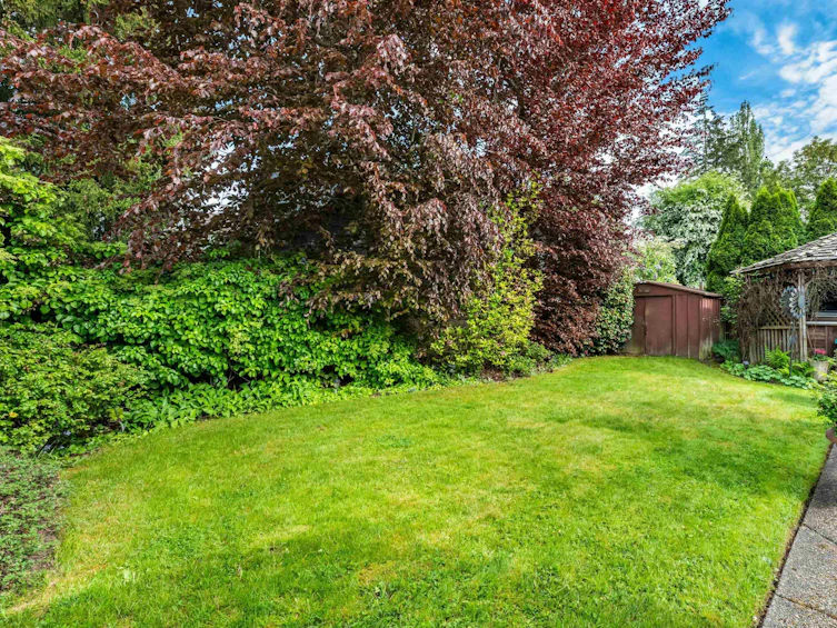 5100 208 Street, Langley, BC, V3A 2J5 - 29