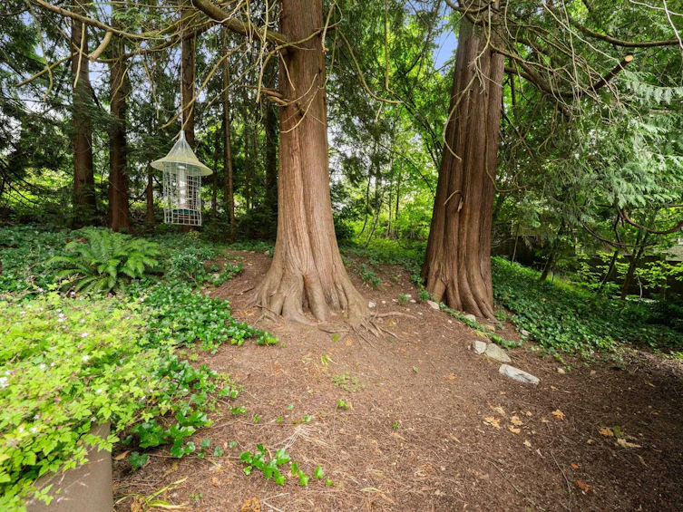 338 E Osborne Road, North Vancouver, BC, V7N 1M3 - 14