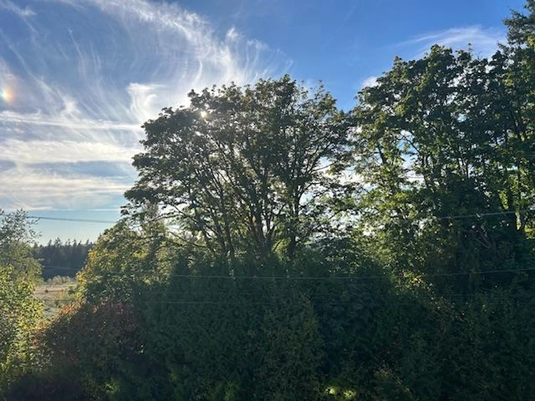 10170 Jackson Road, Maple Ridge, BC, V2W 0H1 - 35