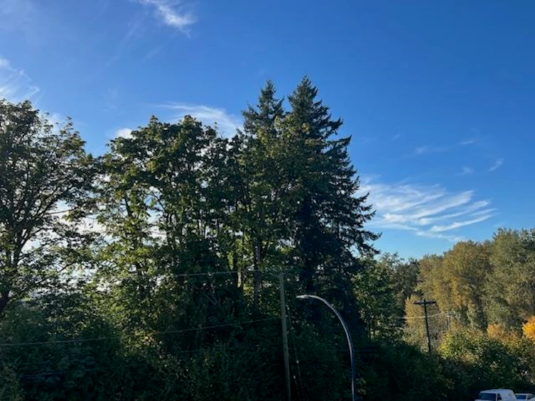 10170 Jackson Road, Maple Ridge, BC, V2W 0H1 - 16