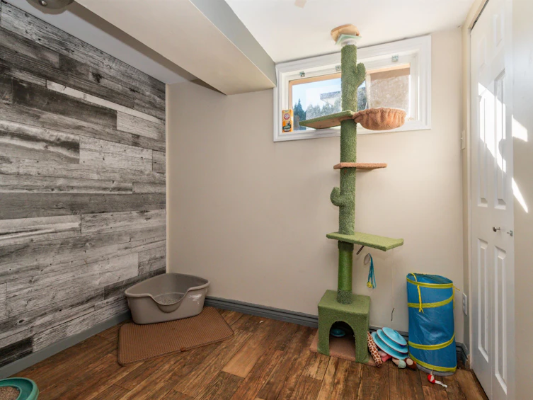 46197 Reece Avenue, Chilliwack, BC, V2P 3A8 - 33