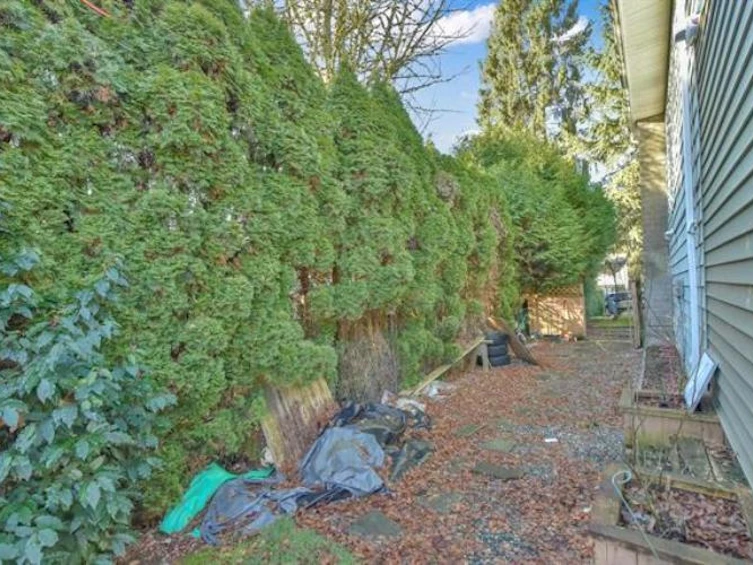 9068 146a Street, Surrey, BC, V3R 6X7 - 32
