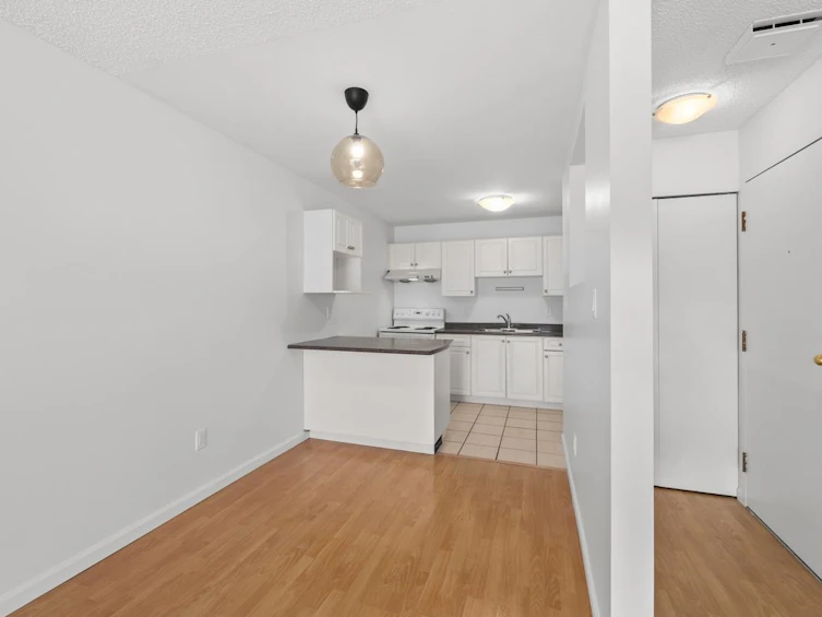 215-808 8th Avenue, Vancouver, BC, V5T 1T5 - 3