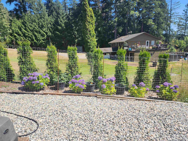 9153 Sunshine Coast Highway, Halfmoon Bay, BC, V7Z 1E9 - 26