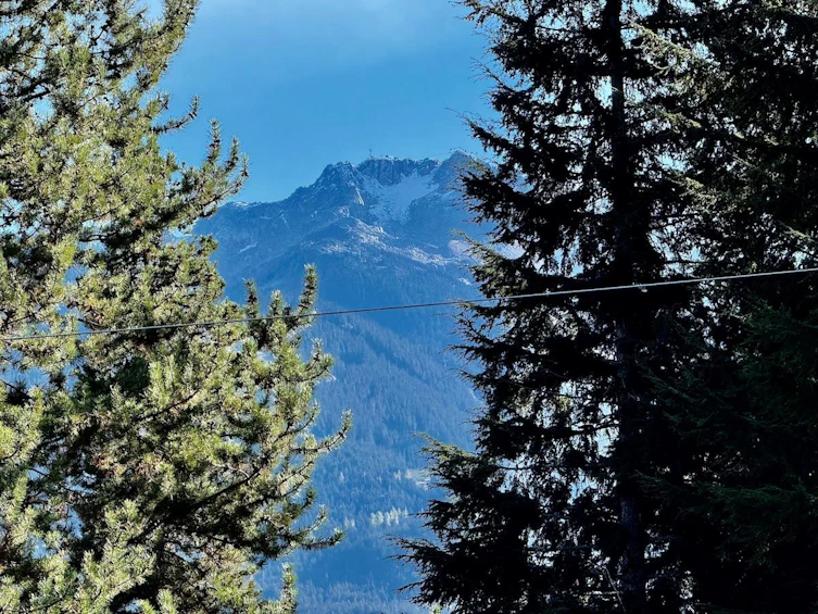 8609 Forest Ridge Drive, Whistler, BC, V8E 0G1 - 6