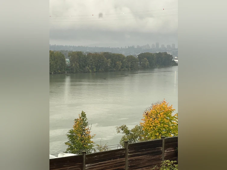 10581 River Road, Delta, BC, V4C 2R1 - 11