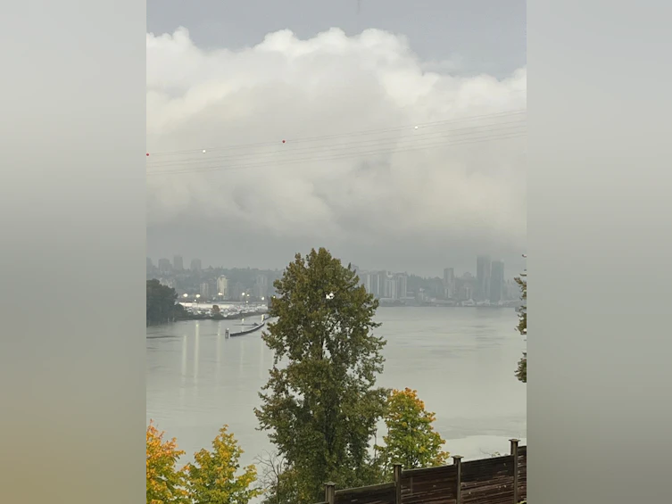 10581 River Road, Delta, BC, V4C 2R1 - 10